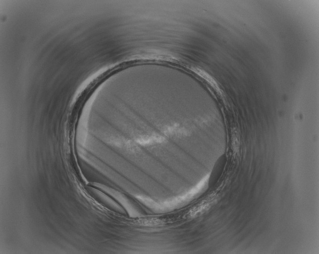 X0000083641120200703121712