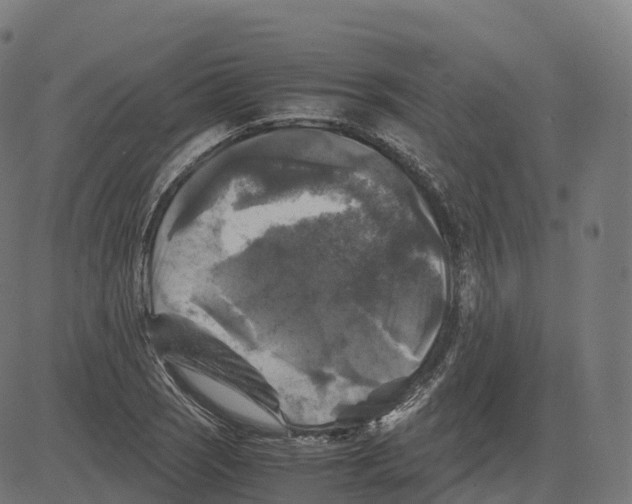 X0000083641121200703121712