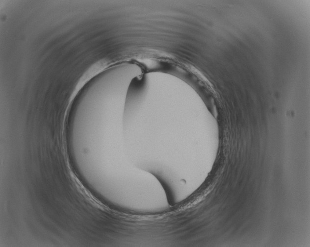 X0000083641122200703121712