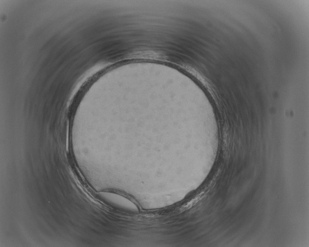 X0000083641123200703121713