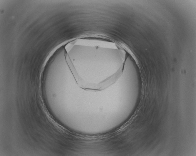 X0000083641124200703121713