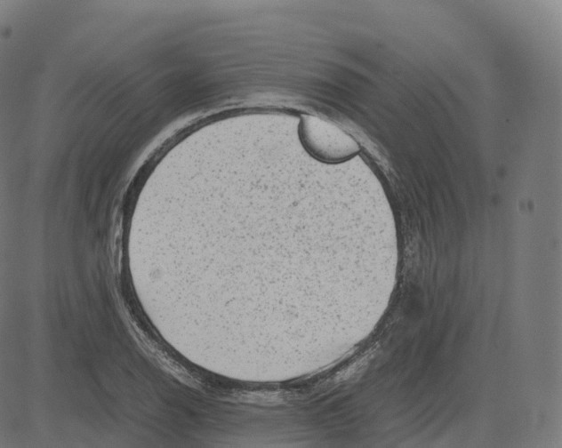 X0000083641126200703121713