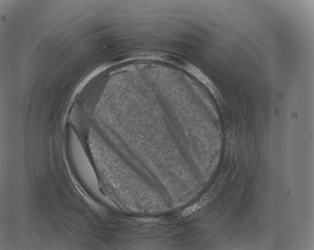 X0000083641127200703121713