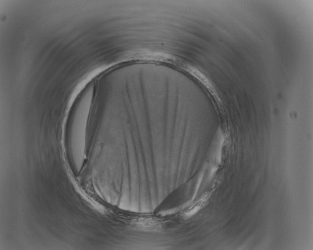 X0000083641128200703121713