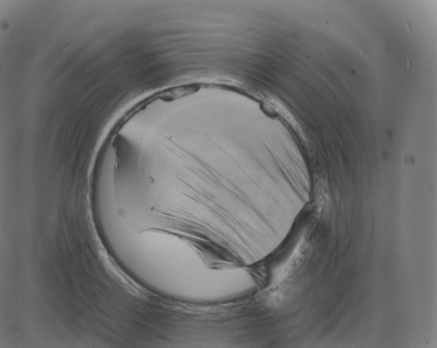 X0000083641132200703121713