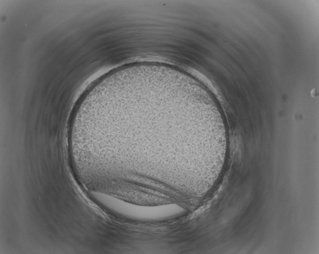 X0000083641133200703121713