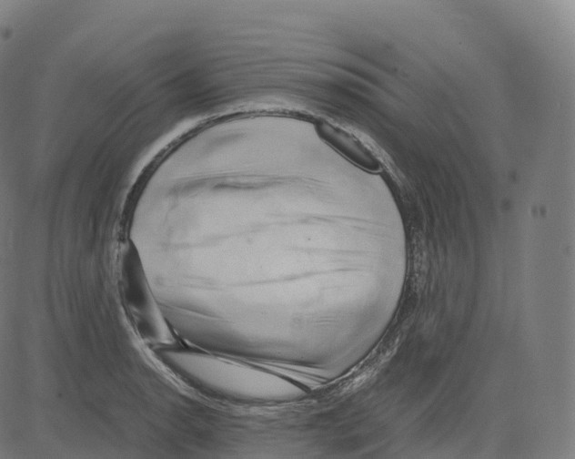 X0000083641134200703121713