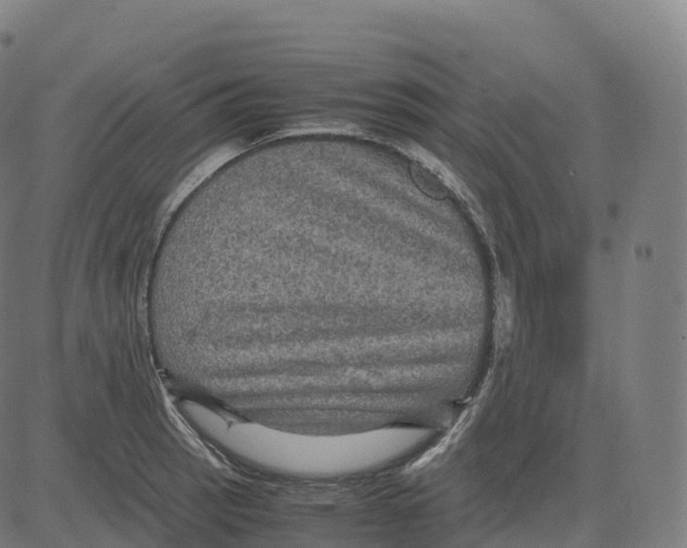 X0000083641137200703121713