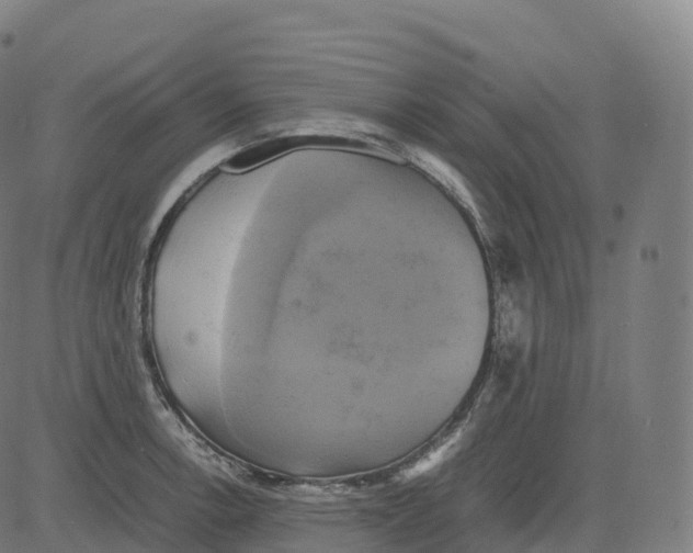 X0000083641138200703121713