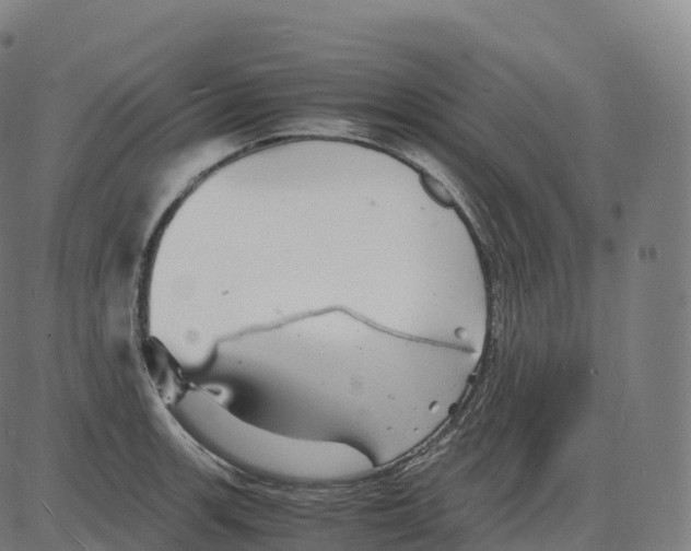 X0000083641139200703121713