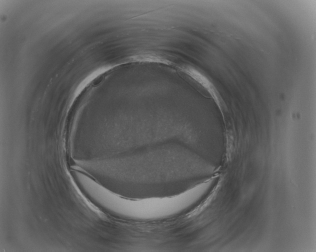 X0000083641141200703121713