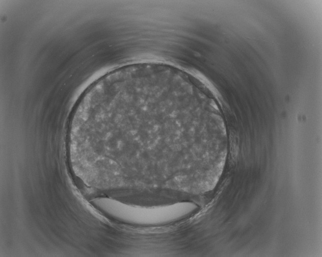 X0000083641142200703121713