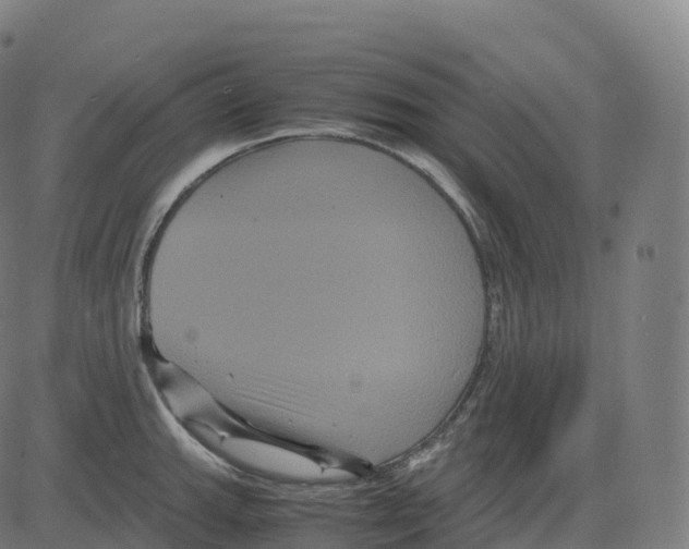 X0000083641143200703121713