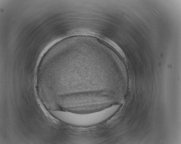 X0000083641144200703121713