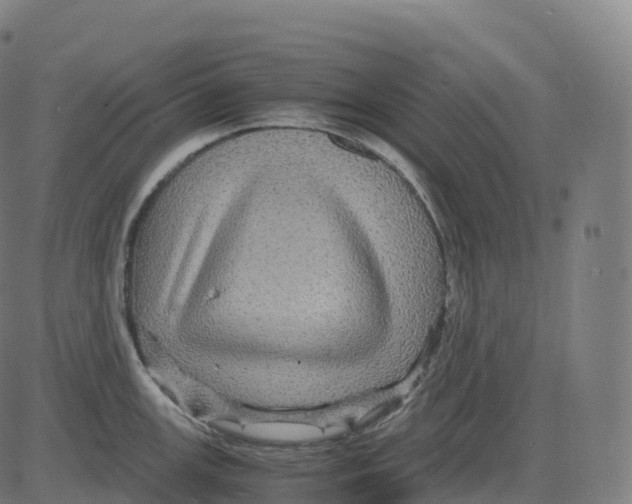 X0000083641147200703121713