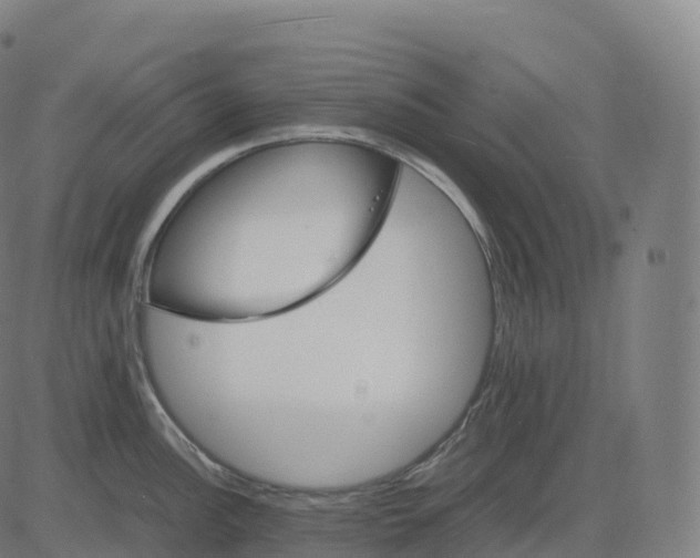 X0000083641148200703121713