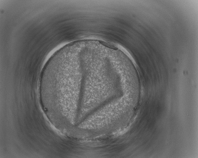 X0000083641149200703121713