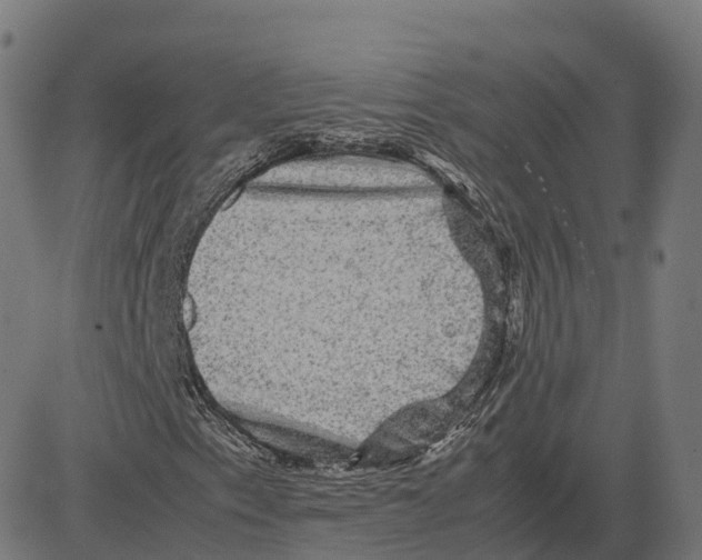 X0000083641153200703121712