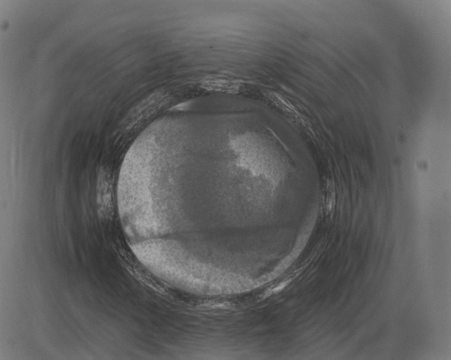 X0000083641154200703121712