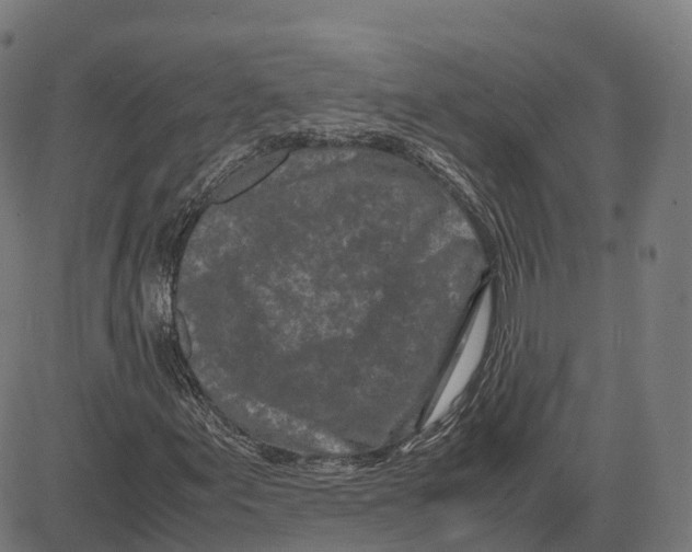 X0000083641155200703121712