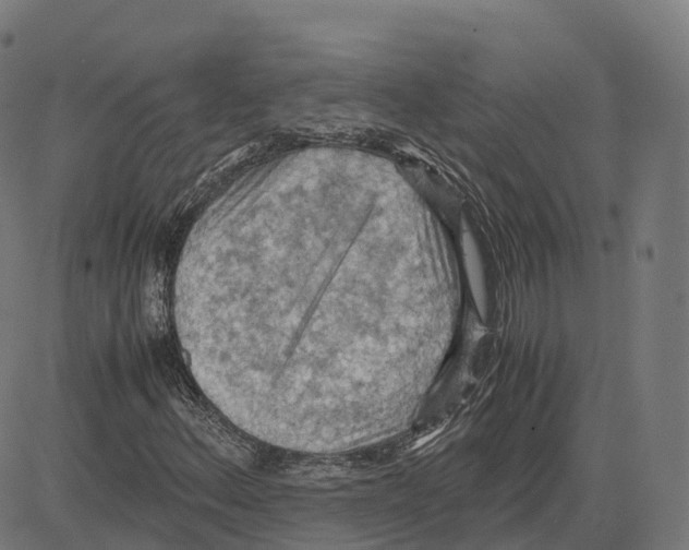 X0000083641156200703121712