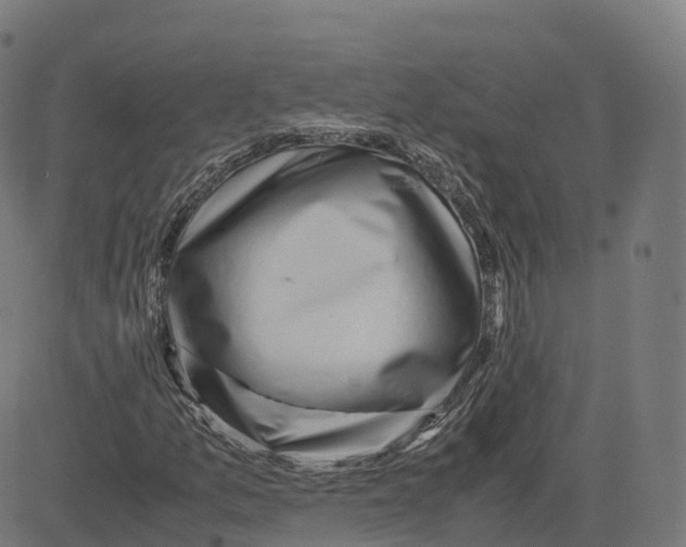 X0000083641157200703121712