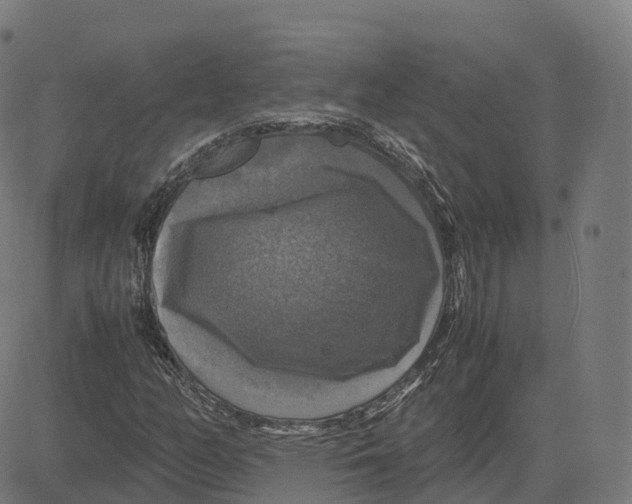 X0000083641158200703121712