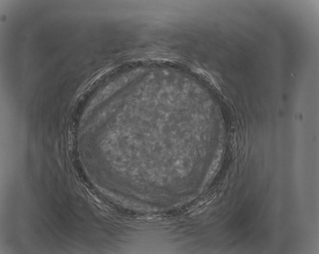 X0000083641159200703121712