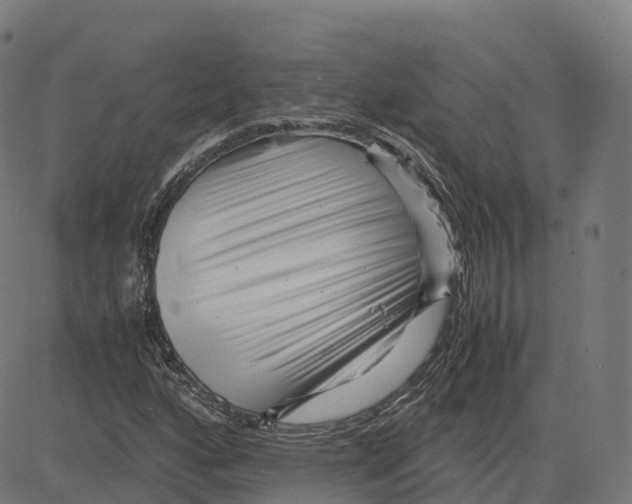 X0000083641160200703121712