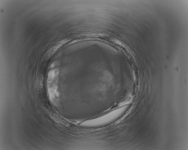 X0000083641161200703121712