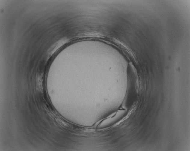 X0000083641162200703121712