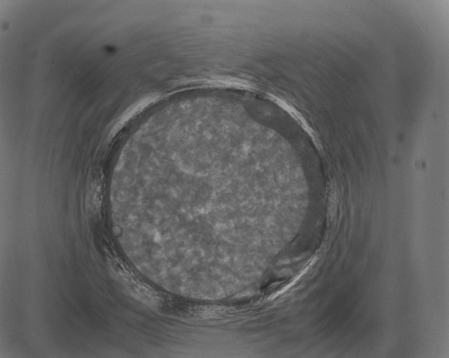 X0000083641163200703121712