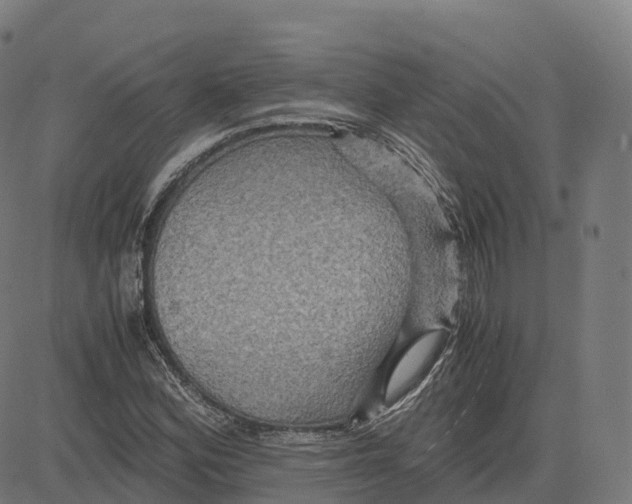 X0000083641164200703121712