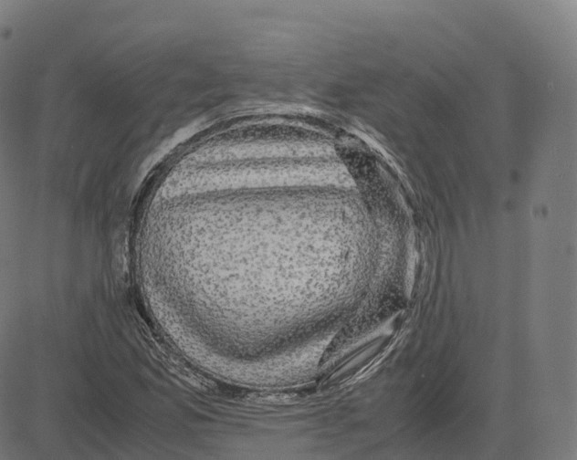 X0000083641165200703121712