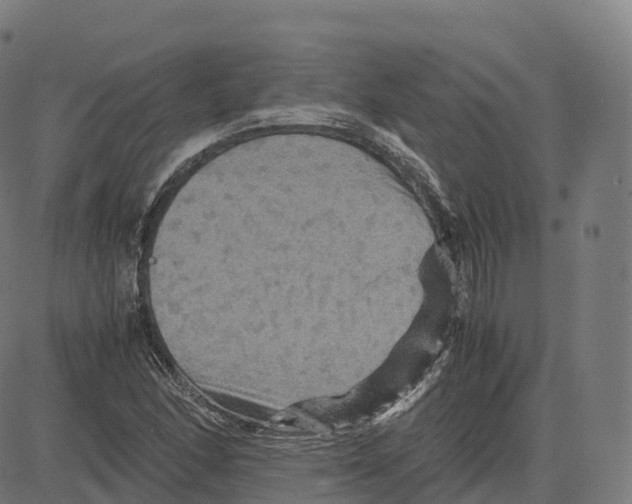 X0000083641166200703121712