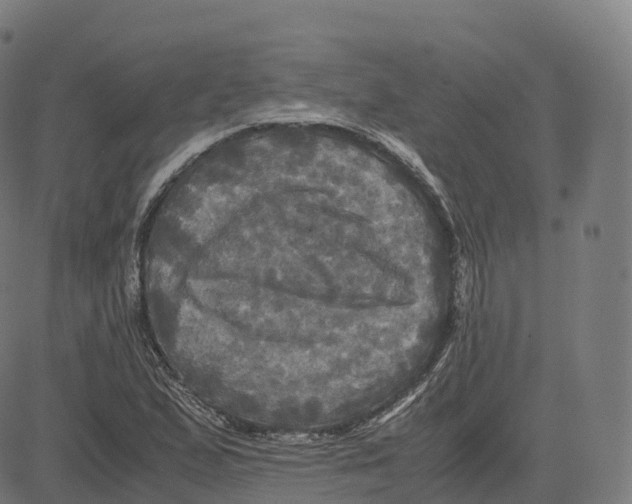 X0000083641167200703121712