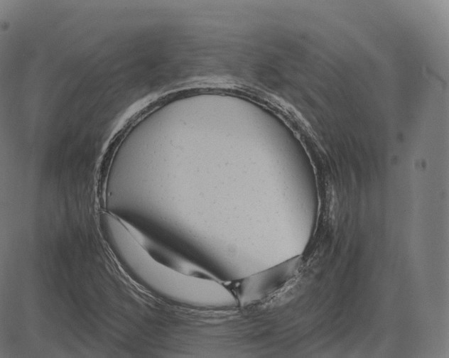 X0000083641168200703121712