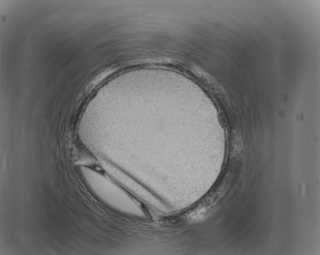 X0000083641169200703121712