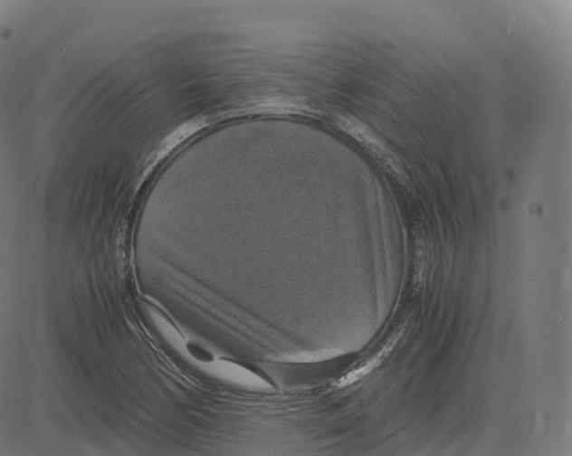 X0000083641170200703121712