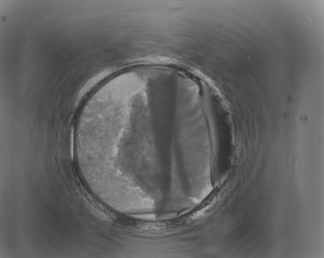 X0000083641171200703121712