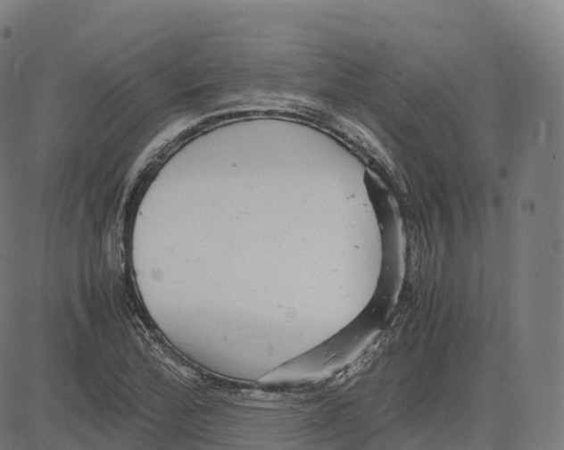 X0000083641172200703121712