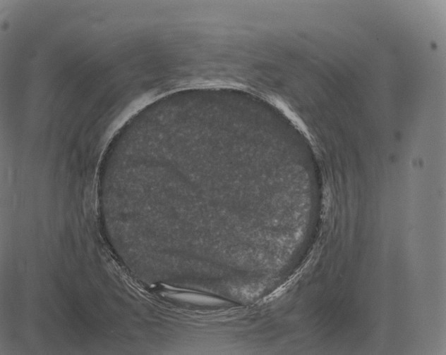 X0000083641173200703121712