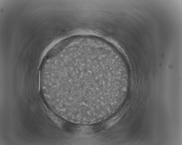 X0000083641175200703121712