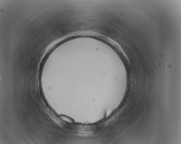 X0000083641176200703121712