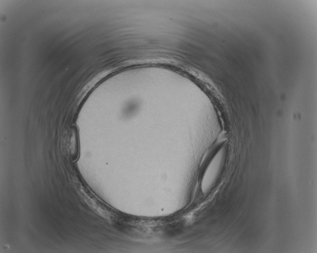 X0000083641177200703121712