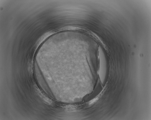 X0000083641178200703121712