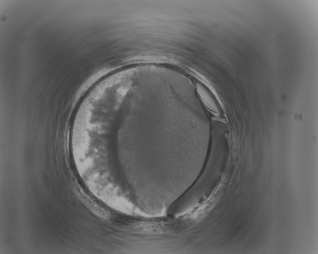 X0000083641179200703121712