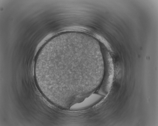 X0000083641180200703121712