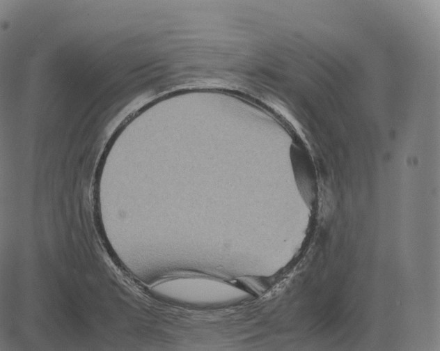 X0000083641181200703121712