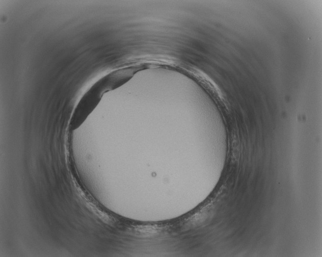 X0000083641182200703121712